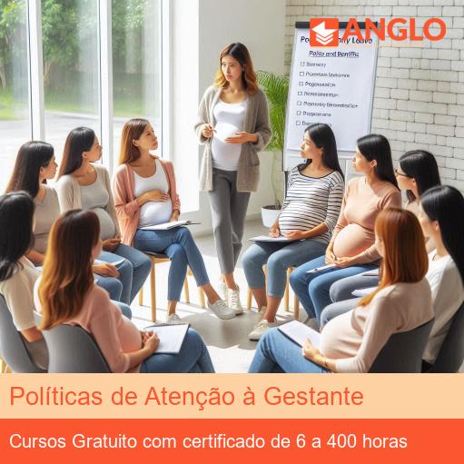 Políticas de Atenção à Gestante
